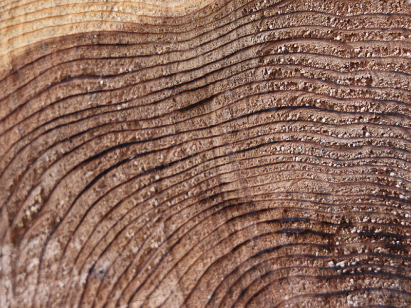 材木屋だからできる、こだわりの家づくり