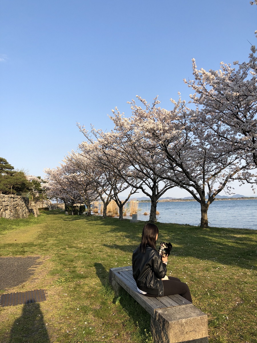 20200409_075430053_iOS