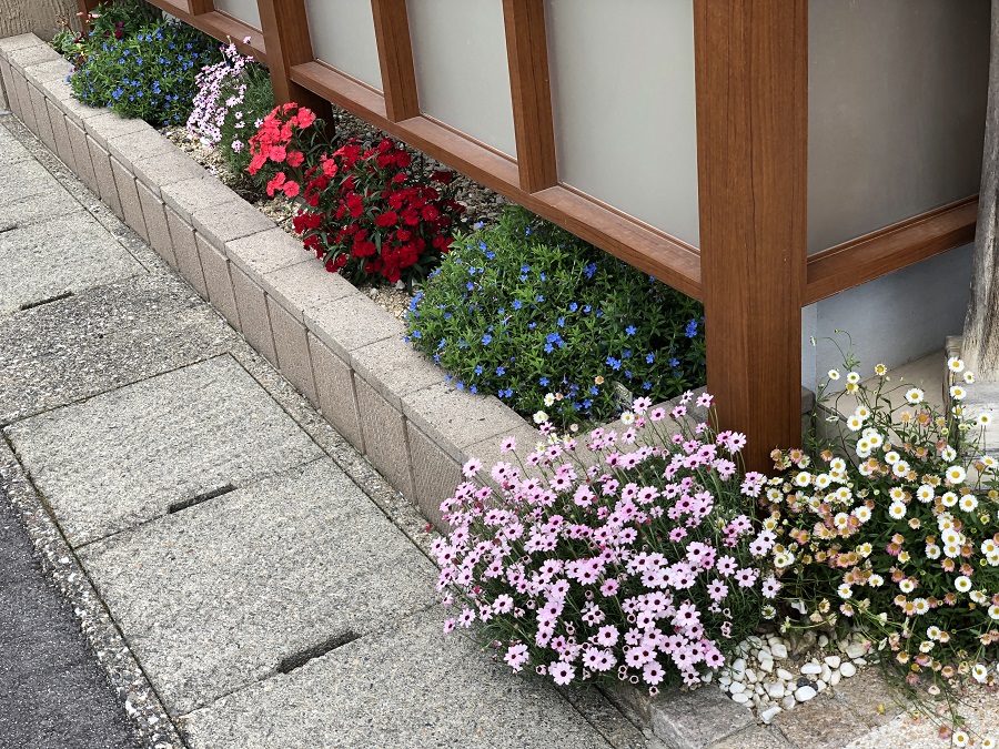 20200513_010911832_iOS